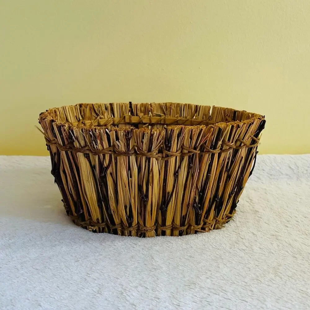 Pier 1 Imports Basket Storage Organizer Bath Office Decorative